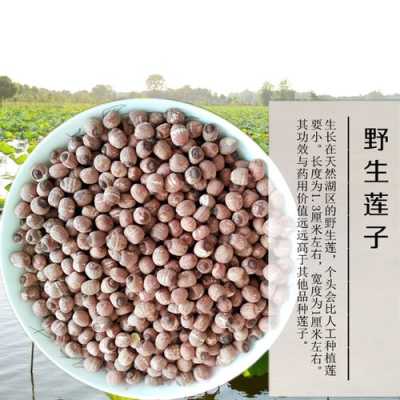 红莲出产地哪里最好,白莲子哪里的最好-第2张图片-厨房小当家 红莲出产地哪里最好,白莲子哪里的最好-第2张图片-厨房小当家