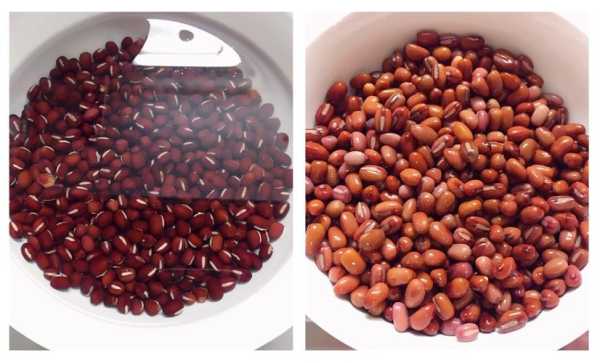蜜豆是哪里（如何正确找到蜜豆）-第1张图片-厨房小当家
