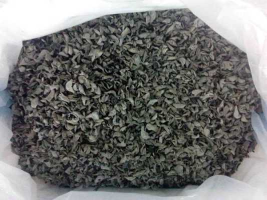 黑木耳哪里黑(灰色木耳的产地)-第3张图片-厨房小当家 黑木耳哪里黑(灰色木耳的产地)-第3张图片-厨房小当家