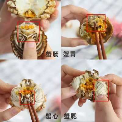 毛蟹哪些位置能吃,哪里是蟹心蟹胃-第1张图片-厨房小当家 毛蟹哪些位置能吃,哪里是蟹心蟹胃-第1张图片-厨房小当家