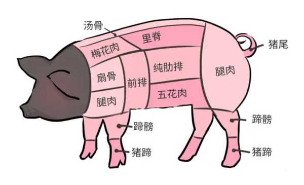 梅花肉是哪里(梅花肉是哪里的部位)-第2张图片-厨房小当家 梅花肉是哪里(梅花肉是哪里的部位)-第2张图片-厨房小当家