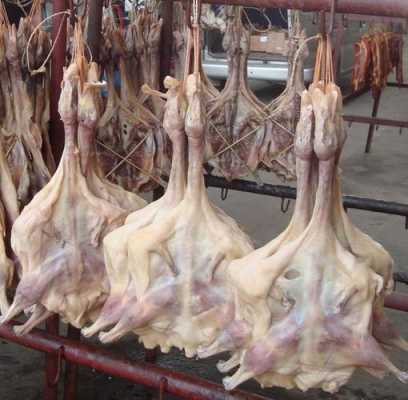 哪里有卖腊鸭(哪里有卖腊鸭的地方)-第3张图片-厨房小当家 哪里有卖腊鸭(哪里有卖腊鸭的地方)-第3张图片-厨房小当家