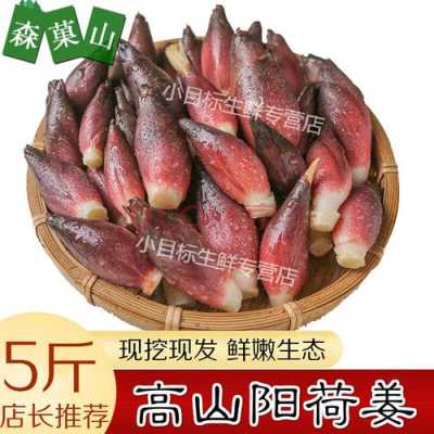 阳荷哪里的好(阳荷哪里的好吃)-第3张图片-厨房小当家 阳荷哪里的好(阳荷哪里的好吃)-第3张图片-厨房小当家