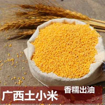 哪里的黄小米最好(米脂小米和普通小米的区别)-第2张图片-厨房小当家 哪里的黄小米最好(米脂小米和普通小米的区别)-第2张图片-厨房小当家