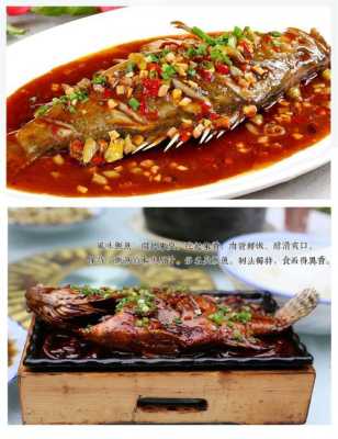 臭鲑鱼是哪里的(臭桂鱼是哪里的)-第1张图片-厨房小当家 臭鲑鱼是哪里的(臭桂鱼是哪里的)-第1张图片-厨房小当家