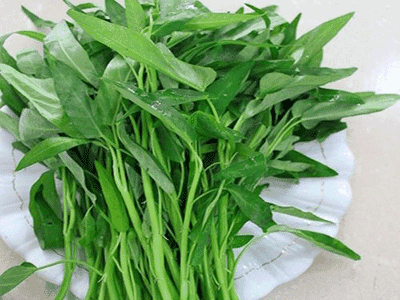 空心菜哪里不能吃,空心菜哪里有卖-第2张图片-厨房小当家 空心菜哪里不能吃,空心菜哪里有卖-第2张图片-厨房小当家