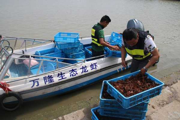 龙虾养殖一亩利润多少,龙虾店能赚多少钱-第3张图片-厨房小当家 龙虾养殖一亩利润多少,龙虾店能赚多少钱-第3张图片-厨房小当家