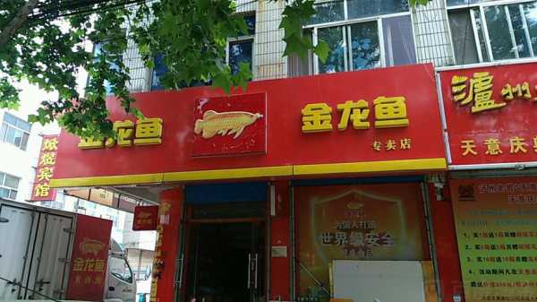 鱼的店怎么样(鱼的店怎么样赚钱)-第1张图片-厨房小当家 鱼的店怎么样(鱼的店怎么样赚钱)-第1张图片-厨房小当家