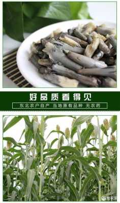 哪里有乌米买(乌米怎么粘在一起的,可以吃吗)-第1张图片-厨房小当家 哪里有乌米买(乌米怎么粘在一起的,可以吃吗)-第1张图片-厨房小当家