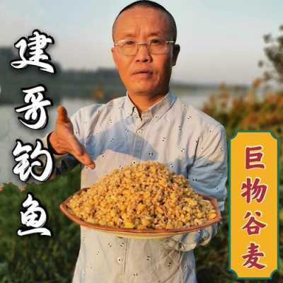 什么谷麦效果好,冬天钓谷麦效果怎么样-第1张图片-厨房小当家 什么谷麦效果好,冬天钓谷麦效果怎么样-第1张图片-厨房小当家