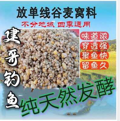 什么谷麦效果好,冬天钓谷麦效果怎么样-第3张图片-厨房小当家 什么谷麦效果好,冬天钓谷麦效果怎么样-第3张图片-厨房小当家