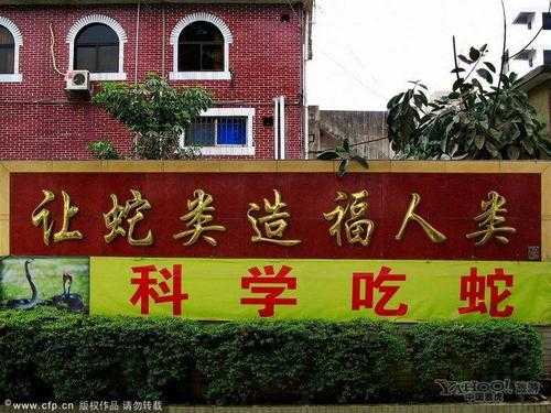 广州哪里有蛇吃(广州蛇类批发市场)-第2张图片-厨房小当家 广州哪里有蛇吃(广州蛇类批发市场)-第2张图片-厨房小当家