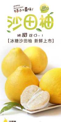 沙田柚哪里的好吃(柚子哪里的原产地最好)-第2张图片-厨房小当家 沙田柚哪里的好吃(柚子哪里的原产地最好)-第2张图片-厨房小当家
