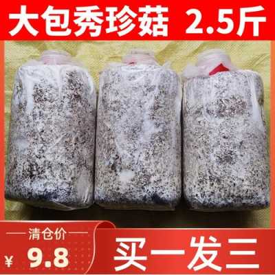 哪里又卖蘑菇包的(附近哪里有蘑菇包批发)-第2张图片-厨房小当家 哪里又卖蘑菇包的(附近哪里有蘑菇包批发)-第2张图片-厨房小当家