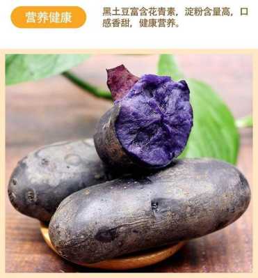 黑土豆有哪些品种啊,那个最好呢,黑土豆哪里有卖的啊-第2张图片-厨房小当家 黑土豆有哪些品种啊,那个最好呢,黑土豆哪里有卖的啊-第2张图片-厨房小当家