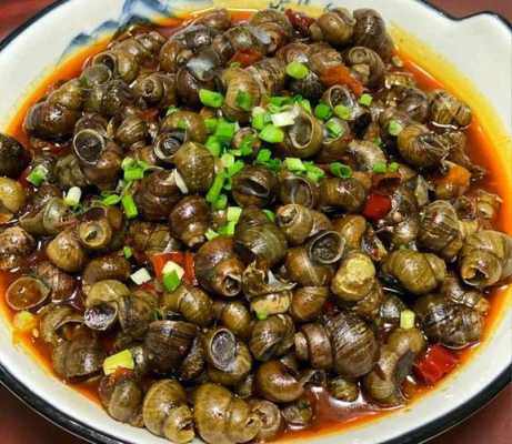 螺蛳哪里肉好吃,螺丝哪里好吃又便宜-第3张图片-厨房小当家 螺蛳哪里肉好吃,螺丝哪里好吃又便宜-第3张图片-厨房小当家