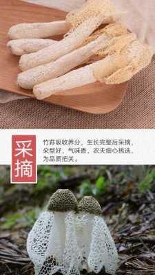 竹荪哪里产地最好,竹荪哪里最好吃-第1张图片-厨房小当家 竹荪哪里产地最好,竹荪哪里最好吃-第1张图片-厨房小当家