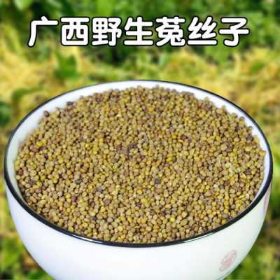 哪种菟丝子最好,菟丝子哪里的最好和什么搭配补肾最好-第1张图片-厨房小当家 哪种菟丝子最好,菟丝子哪里的最好和什么搭配补肾最好-第1张图片-厨房小当家