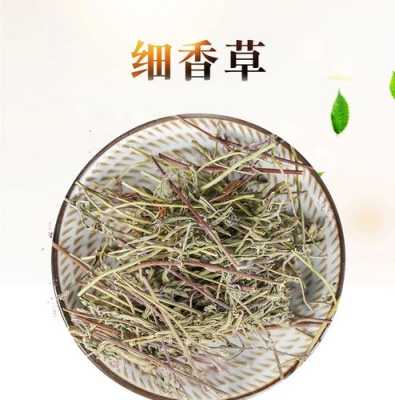 香草哪里能买到(香草哪里能买到正品)-第1张图片-厨房小当家 香草哪里能买到(香草哪里能买到正品)-第1张图片-厨房小当家