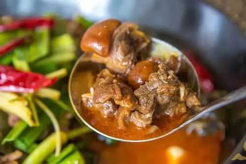 柳州哪里狗肉好吃(柳州哪里狗肉好吃点)-第2张图片-厨房小当家 柳州哪里狗肉好吃(柳州哪里狗肉好吃点)-第2张图片-厨房小当家