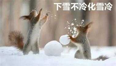 怎么样让雪快速(如何快速化雪)-第3张图片-厨房小当家 怎么样让雪快速(如何快速化雪)-第3张图片-厨房小当家