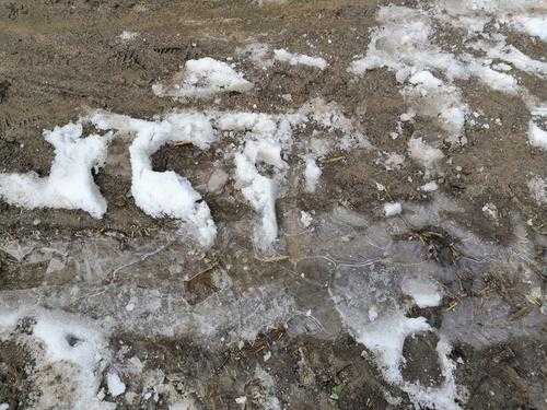 怎么样让雪快速(如何快速化雪)-第2张图片-厨房小当家 怎么样让雪快速(如何快速化雪)-第2张图片-厨房小当家