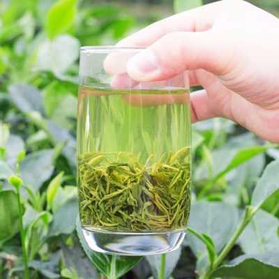 毛尖茶叶怎么炒,信阳火盆烧烤怎么样好吃吗-第1张图片-厨房小当家 毛尖茶叶怎么炒,信阳火盆烧烤怎么样好吃吗-第1张图片-厨房小当家