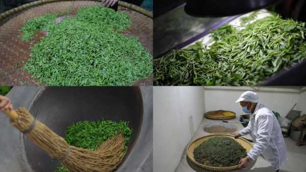 毛尖茶叶怎么炒,信阳火盆烧烤怎么样好吃吗-第2张图片-厨房小当家 毛尖茶叶怎么炒,信阳火盆烧烤怎么样好吃吗-第2张图片-厨房小当家