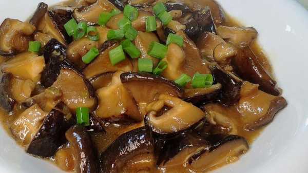 哪里的香菇好吃(哪里的香菇好吃又出名)-第3张图片-厨房小当家 哪里的香菇好吃(哪里的香菇好吃又出名)-第3张图片-厨房小当家