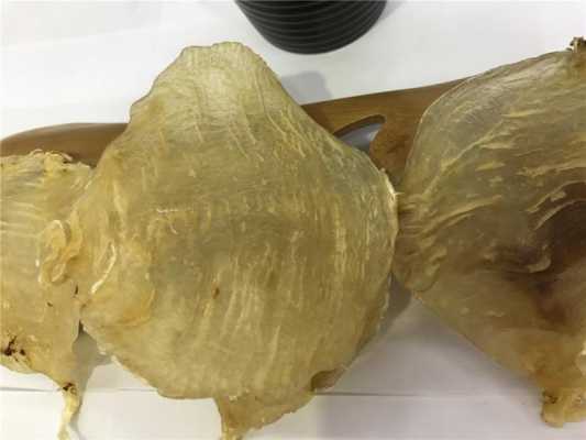哪里有批发鱼胶(汕头鱼胶最大批发市场)-第1张图片-厨房小当家 哪里有批发鱼胶(汕头鱼胶最大批发市场)-第1张图片-厨房小当家