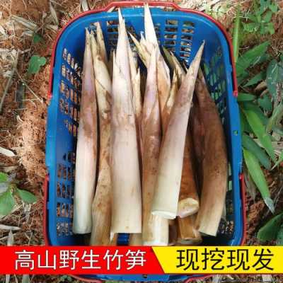 鞭笋是哪里的(鞭笋是哪里的特产)-第3张图片-厨房小当家 鞭笋是哪里的(鞭笋是哪里的特产)-第3张图片-厨房小当家