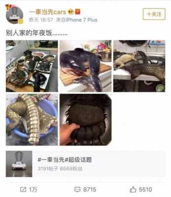 熊掌赏金赛怎么参加,哪里吃得到熊掌-第2张图片-厨房小当家