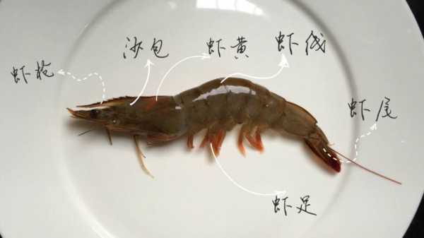 虾的沙包在哪里(虾的沙包是什么)-第3张图片-厨房小当家 虾的沙包在哪里(虾的沙包是什么)-第3张图片-厨房小当家