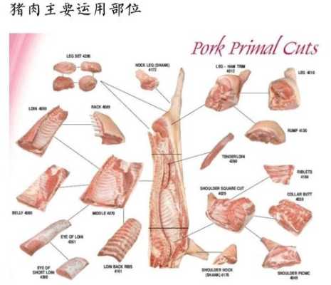 猪里脊肉是哪里(腱子肉里脊肉分别是猪哪个部位)-第3张图片-厨房小当家 猪里脊肉是哪里(腱子肉里脊肉分别是猪哪个部位)-第3张图片-厨房小当家