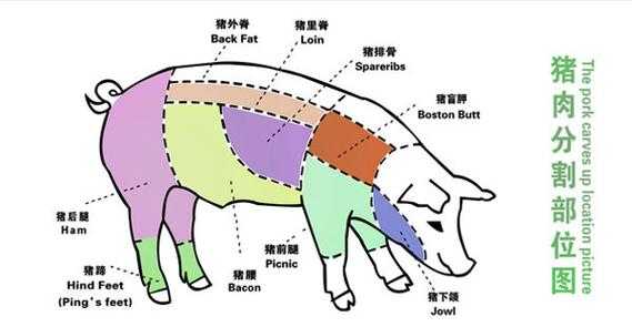 猪里脊肉是哪里(腱子肉里脊肉分别是猪哪个部位)-第2张图片-厨房小当家 猪里脊肉是哪里(腱子肉里脊肉分别是猪哪个部位)-第2张图片-厨房小当家