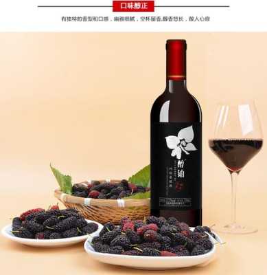 哪里有卖桑葚酒的(桑葚酒多少钱一瓶)-第1张图片-厨房小当家 哪里有卖桑葚酒的(桑葚酒多少钱一瓶)-第1张图片-厨房小当家