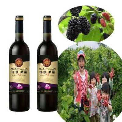 哪里有卖桑葚酒的(桑葚酒多少钱一瓶)-第3张图片-厨房小当家 哪里有卖桑葚酒的(桑葚酒多少钱一瓶)-第3张图片-厨房小当家