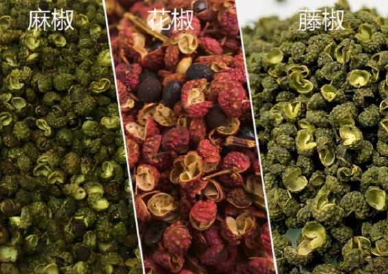 麻椒哪里的最麻(麻椒哪里的最麻最好吃)-第1张图片-厨房小当家 麻椒哪里的最麻(麻椒哪里的最麻最好吃)-第1张图片-厨房小当家