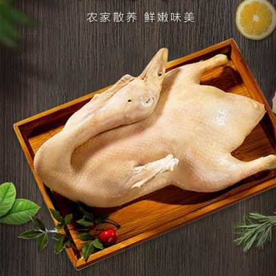 南京板鸭哪里买(南京江宁哪里可以买到板鸭或者桂花鸭)-第3张图片-厨房小当家 南京板鸭哪里买(南京江宁哪里可以买到板鸭或者桂花鸭)-第3张图片-厨房小当家