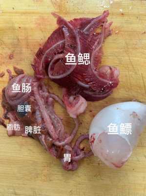 鱼肚子里的苦胆在哪里？用手掏时很容易破，如何解决,鱼苦胆在哪里图片-第3张图片-厨房小当家