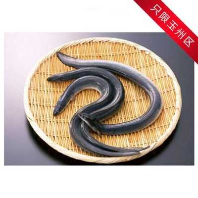 白鳝鱼哪里有(白鳝鱼哪里有卖的)-第2张图片-厨房小当家 白鳝鱼哪里有(白鳝鱼哪里有卖的)-第2张图片-厨房小当家