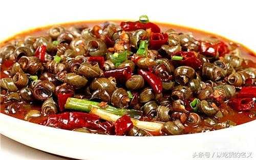 螺蛳哪里可以吃(哪里螺蛳好吃)-第2张图片-厨房小当家 螺蛳哪里可以吃(哪里螺蛳好吃)-第2张图片-厨房小当家