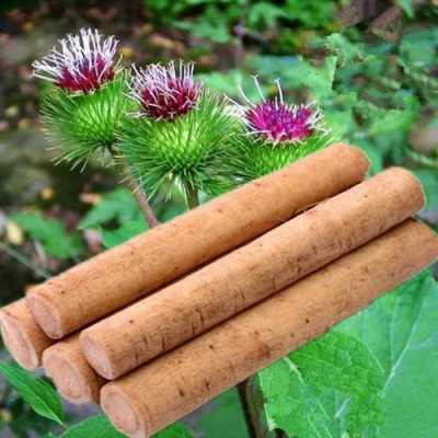 牛蒡 哪里的最好(牛蒡哪里的最好最正宗)-第2张图片-厨房小当家 牛蒡 哪里的最好(牛蒡哪里的最好最正宗)-第2张图片-厨房小当家