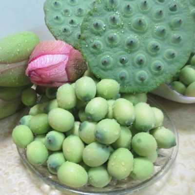 莲蓬怎么挑才好吃,莲蓬哪里的好吃又便宜-第3张图片-厨房小当家 莲蓬怎么挑才好吃,莲蓬哪里的好吃又便宜-第3张图片-厨房小当家