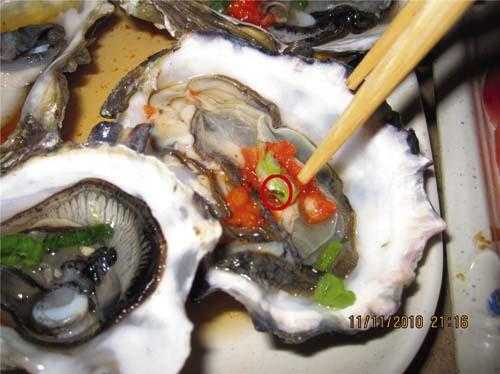海蛎哪里不能吃(海蛎哪里不能吃图示)-第3张图片-厨房小当家 海蛎哪里不能吃(海蛎哪里不能吃图示)-第3张图片-厨房小当家