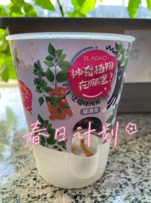 薄荷猫加盟怎么样(猫薄荷种植技术及亩收益)-第1张图片-厨房小当家 薄荷猫加盟怎么样(猫薄荷种植技术及亩收益)-第1张图片-厨房小当家