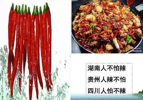 哪里人吃辣椒(为什么湖南人这么能吃辣椒)-第2张图片-厨房小当家 哪里人吃辣椒(为什么湖南人这么能吃辣椒)-第2张图片-厨房小当家