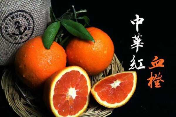 湖南血橙哪里最好,血橙哪里的好吃-第2张图片-厨房小当家 湖南血橙哪里最好,血橙哪里的好吃-第2张图片-厨房小当家