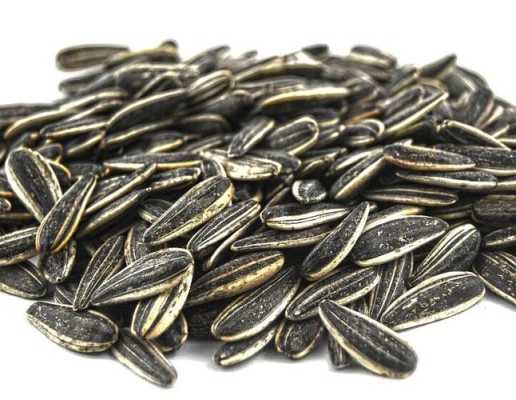 哪里葵花籽好(哪里葵花籽好吃)-第1张图片-厨房小当家 哪里葵花籽好(哪里葵花籽好吃)-第1张图片-厨房小当家
