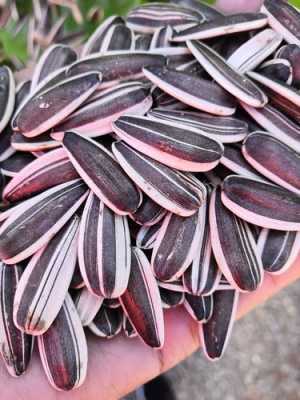 哪里葵花籽好(哪里葵花籽好吃)-第3张图片-厨房小当家 哪里葵花籽好(哪里葵花籽好吃)-第3张图片-厨房小当家